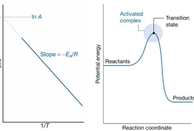 Fig. 2.8. A reaction profile (right): the horizontal axis is the reaction coordinate and the  vertical axis is the potential/Gibbs energy