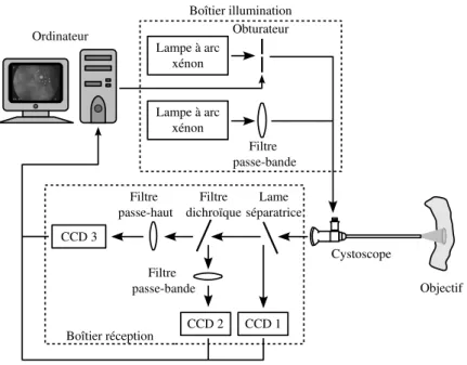 Fig. 1.8 – Schéma qui représente les composants du système d’imagerie endoscopique de fluo- fluo-rescence développé dans notre groupe de travail.