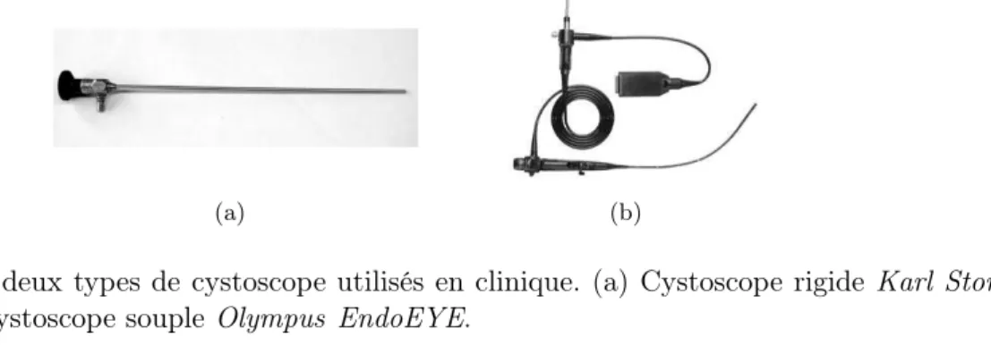 Fig. 1.11 – Les deux types de cystoscope utilisés en clinique. (a) Cystoscope rigide Karl Storz 27005BA