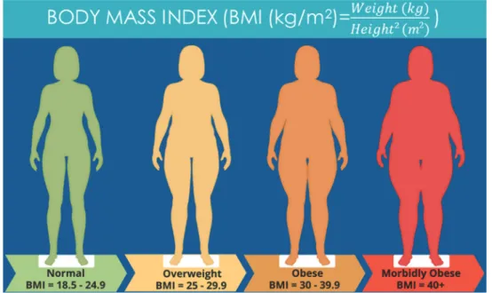 Figure 3: Body mass index.  