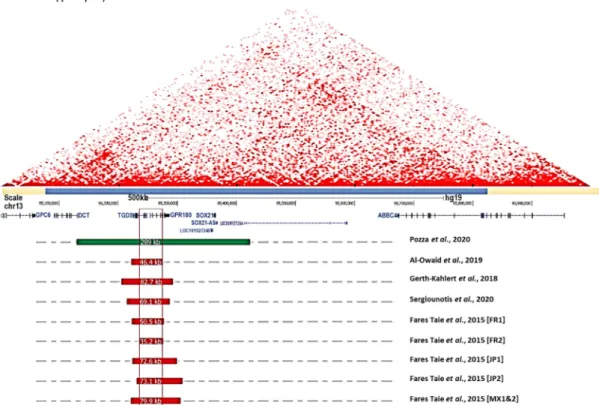 Figure 3. Summary of 13q32.1 structural variations associated with congenital microcoria