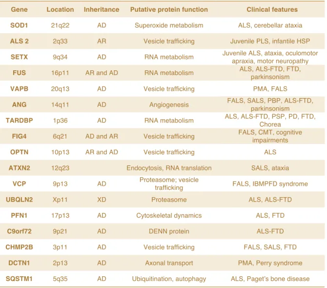Table 1. Main genes involved in ALS pathogenesis 