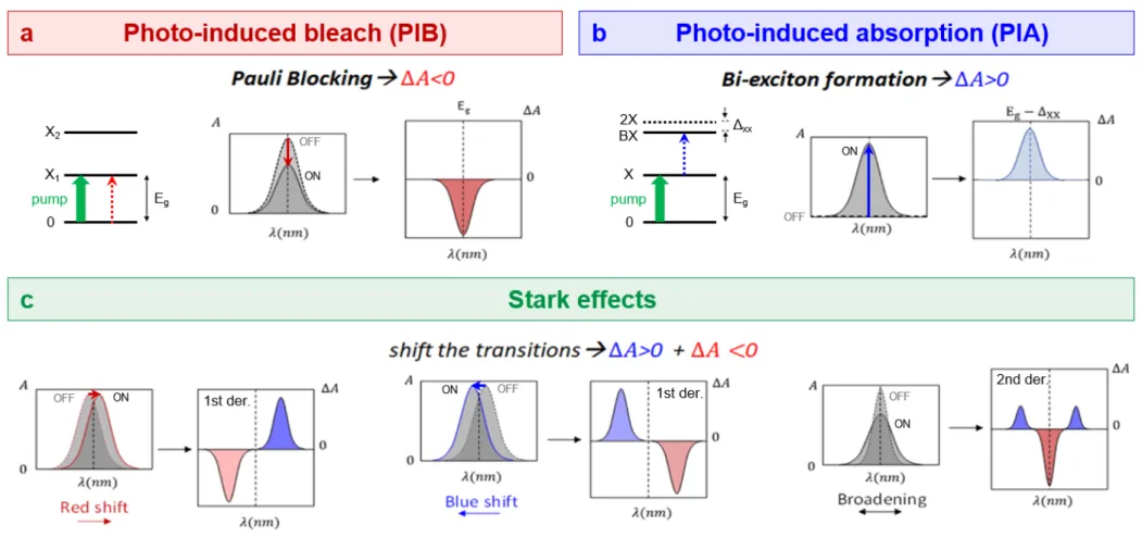 Figure 2.14. Schematic of the origin of the transient signals ΔA due to photo-induced bleach (a), photo-induced absorption (b, in the case  of excited state absorption), and pure Stark effects (c)
