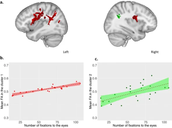 Figure 2.  Correlation between the number of fixations to the eyes and FA values (N  = 24)