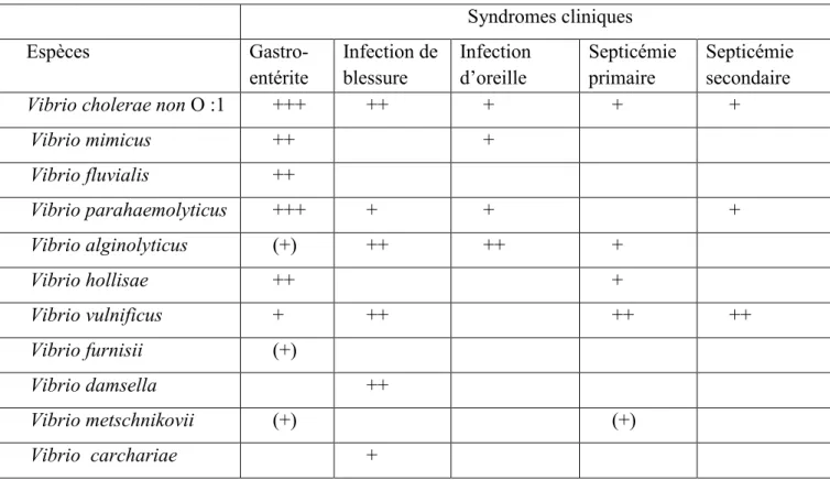 Tableau I : Syndromes cliniques associés aux espèces de vibrions les plus souvent rencontrées      en pathologie humaine (PAVIA et al.,1989)
