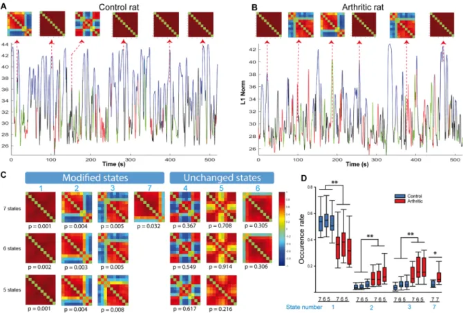 Figure 5.  Dynamic brain state changes in control and arthritic rats imaged in the plan Bregma  −0.6 mm