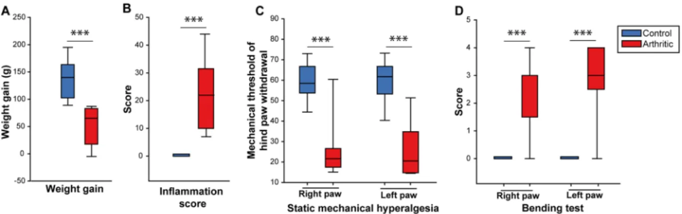Figure 2.  Arthritic rats display (3 weeks after the induction of the model) a sustained peripheral inflammation,  reduced body weight gain and mechanical hypersensitivity