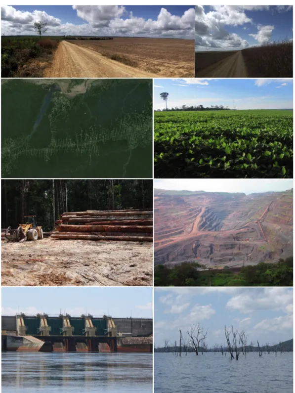 Figure  2:  Examples  of  important  causes  of  human-induced  landscape  changes  in  the  Amazon: fragmentation by roads, forming the typically “fish-bone” pattern of occupation in  the region; soya bean croplands, leading to extensive deforested areas 