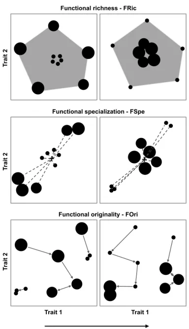 Figure 1 Hypothetical scenarios for the contribution of rare species to the functional structure  (FS) of species assemblages