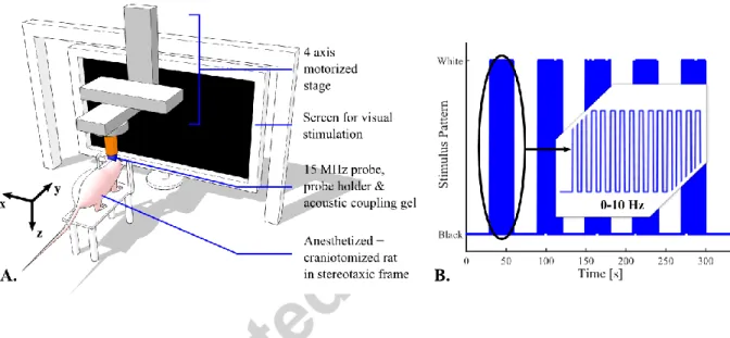 Figure  1  A.  Schematic  view  of  the  experimental  setup.  B.  Stimulus  pattern  for  episodic  visual  stimulation: 30 s of rest are followed with 30 s of flickering of the screen at a frequency in the [0; 10  Hz] range