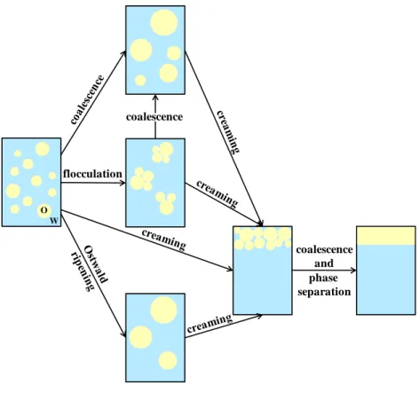 Figure 2: Schematic representation of the various destabilization mechanisms for an Oil-in-Water  emulsion