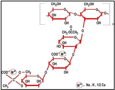 Figure 7 : Structure chimique de l’unité de base de la gomme xanthane (Desprairies, 2005)