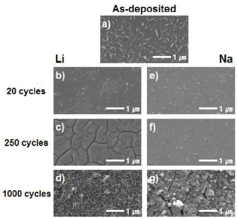 Figure 48. SEM images of V 2 O 5 RF-metal in Li (b, c, d) and Na (e, f, g) based electrolyte after 20, 250 and 1000  cycles
