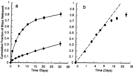 Figure 11: Profil de libération de ferritine à partir de matrices d’EVAc en fonction du temps (a) et racine  carré du temps (b) [taux d’encapsulation 35% (), 50% ()] (selon la référence [85]) 
