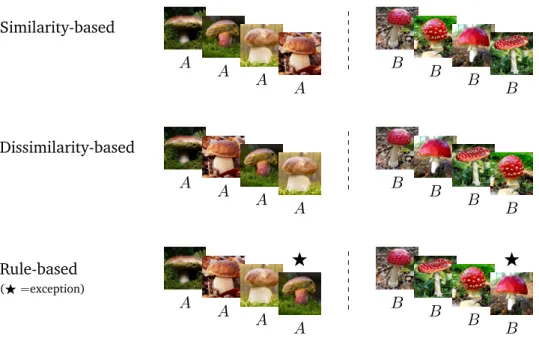 Figure 1.4 – Example of similarity-based, dissimilarity-based, and rule-based study (within-category orders)