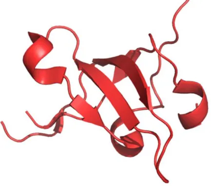 Figure  29:  Crystal  structure  of  an  N-terminal  HTATIP  fragment  containing  chromodomain  (CRD)  of  TIP60