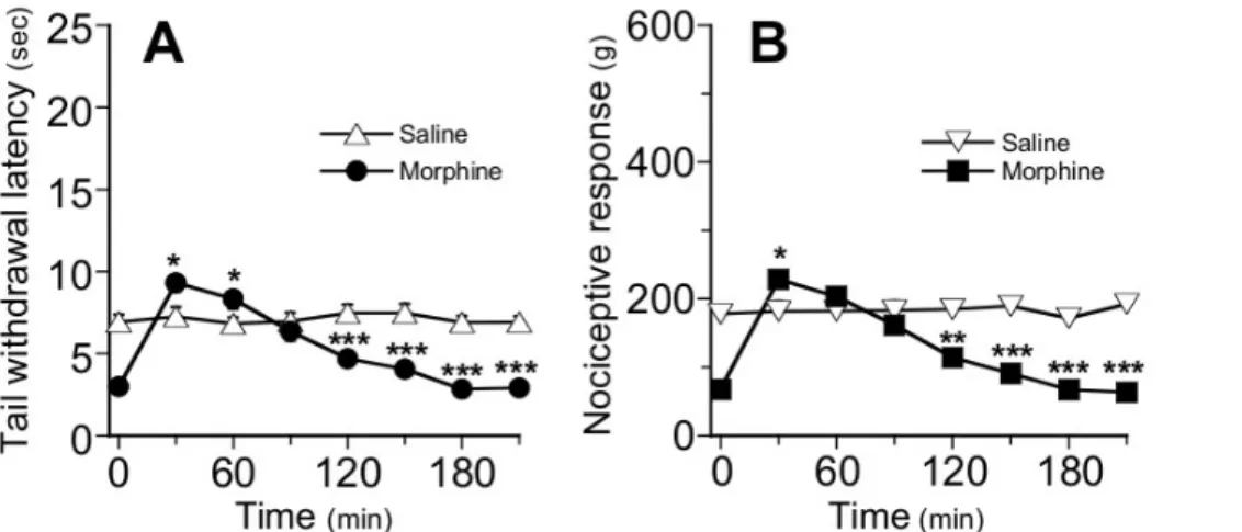 Figure 6. Comparison of maximum analgesic responses of mice to morphine (5 mg/kg, sc.) before (day 0) and after chronic morphine treatment (day 7)