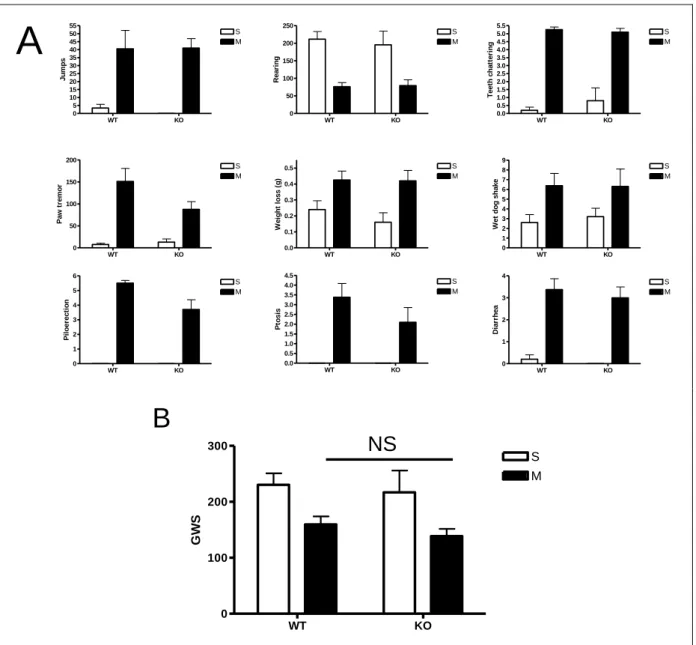 Figure 13- Symptôme de sevrage chez les KO NPFFR2     