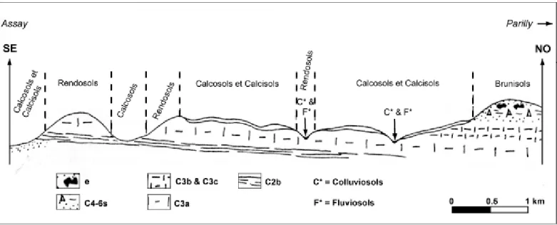 Figure II-9. Toposéquence du  Richelais  selon  la  coupe  Assay  – Parilly  (d’après Boutin  et  al.,  1990)