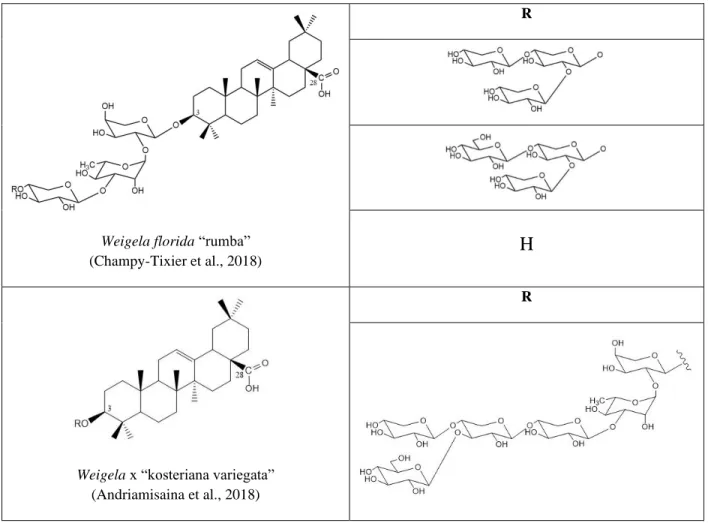 Figure 12. Some triterpenoid saponins elucidated from species of Weigela genus  2.3. Saponins isolated from genus Cordyline