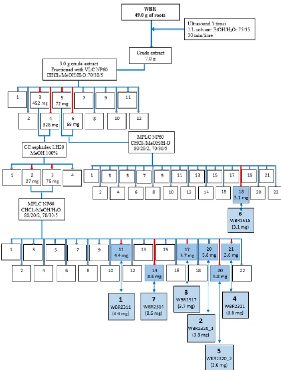 Figure 18. Purification scheme of compounds in roots of Weigela x “Bristol Ruby” 