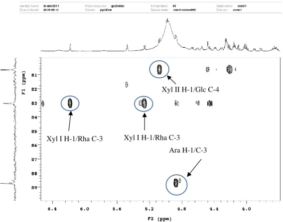 Figure 22. HMBC spectrum of sugar moieties of compound 1 