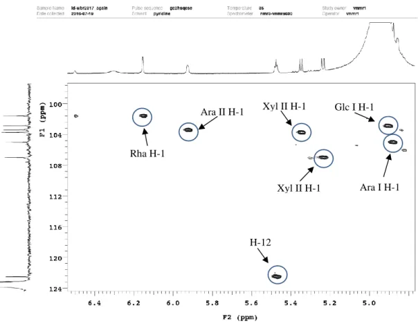 Figure 36. HSQC spectrum of sugar anomers of compound 3 