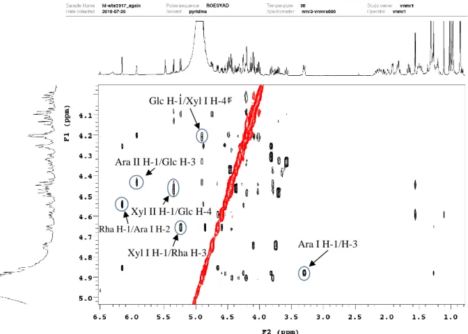 Figure 40. ROESY spectrum of sugar moieties of compound 3 