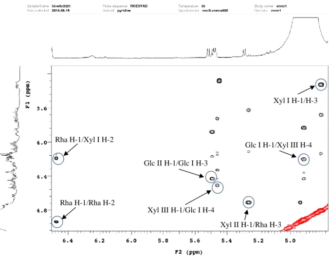 Figure 46. ROESY spectrum of sugar moieties of compound 4 