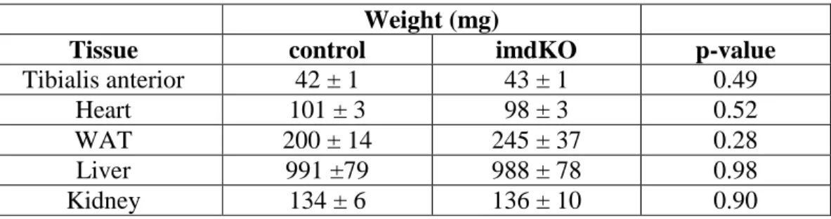 Table 2: Tissue weight in control and AMPKα imdKO mice. 