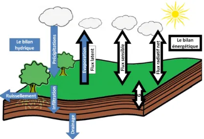 Figure 2.1 – Sch´ema des principaux flux hydriques et ´en´erg´etiques simul´es dans SECHIBA (G repr´esente la diffusion dans le sol) (Campoy, 2013).