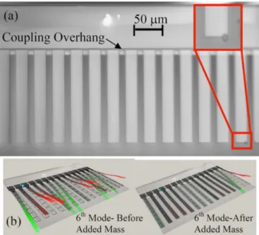 Figure 29: Photograph and schematics of an array of coupled cantilevers for multiple analyte detection / source : [186]