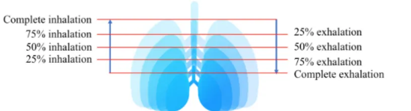 Fig. 4 Illustration of the 8 starting moments for the needle insertion