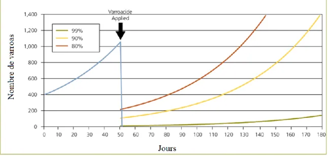 Figure 16. Courbe théorique de développement d’une population de varroas subissant un traitement