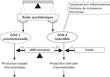 Fig. 15 : Effets de l’inhibition COX-1 versus COX-2