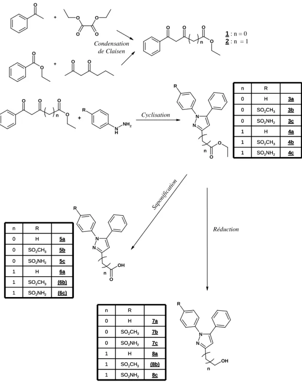 Fig. 22 : Stratégie de synthèse des composés de type diarylpyrazole les composés entre parenthèse n’ont pu être synthétisés