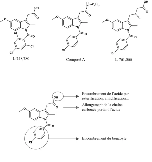 Fig. 23 : Modifications possibles de l’indométhacine en vue d’une sélectivité COX-2