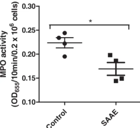 Figure 9. Effect of SAAE on MPO activity in vivo . Mice were treated with vehicle (NaCl 0.9%) or SAAE (200 mg/kg), after 24 h, MPO activity was measured in  circu-lating neutrophils using tetra-methylbenzidine oxidation at 655 nm (mean ± SEM of n ¼ 4,  p &