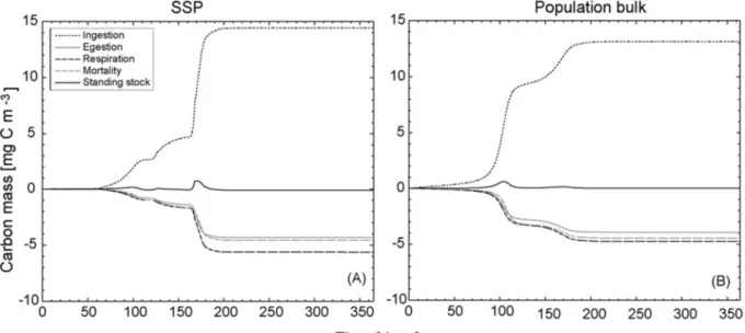 Figure  18 :  Flux  intégrés  des  processus  selon  le  temps  et  biomasse  résultante  (Standing  stock)  de  Centropages  dont  la  dynamique  est  représentée  sous  forme  de  classes  de  stade  (A)  et  sous  forme  agrégée (dite « bulk ») (B)