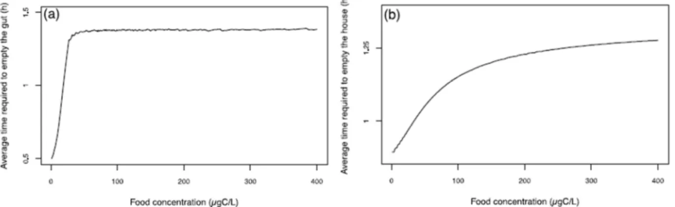 Figure  22 :  Temps  moyen  requis  pour  un  vidage  complet  de  l’intestin  (a)  et  de  la  logette  (b)  en  fonction  de  la  concentration  en  nourriture  dans  le  milieu  extérieur