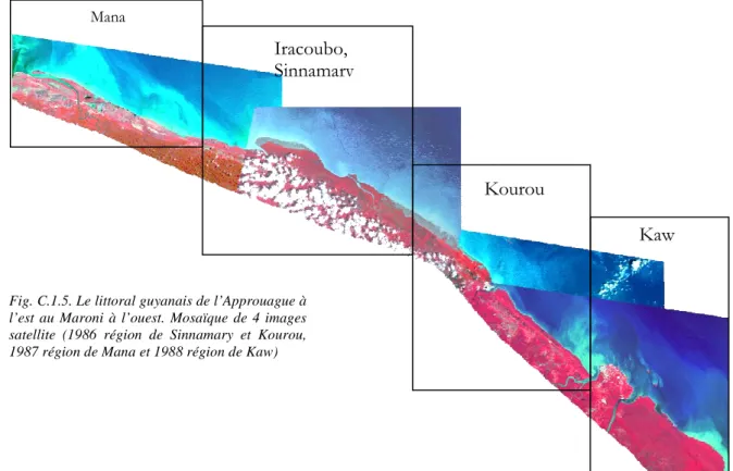 Fig. C.1.5. Le littoral guyanais de l’Approuague à  l’est  au  Maroni  à  l’ouest.  Mosaïque  de  4  images  satellite  (1986  région  de  Sinnamary  et  Kourou,  1987 région de Mana et 1988 région de Kaw) 