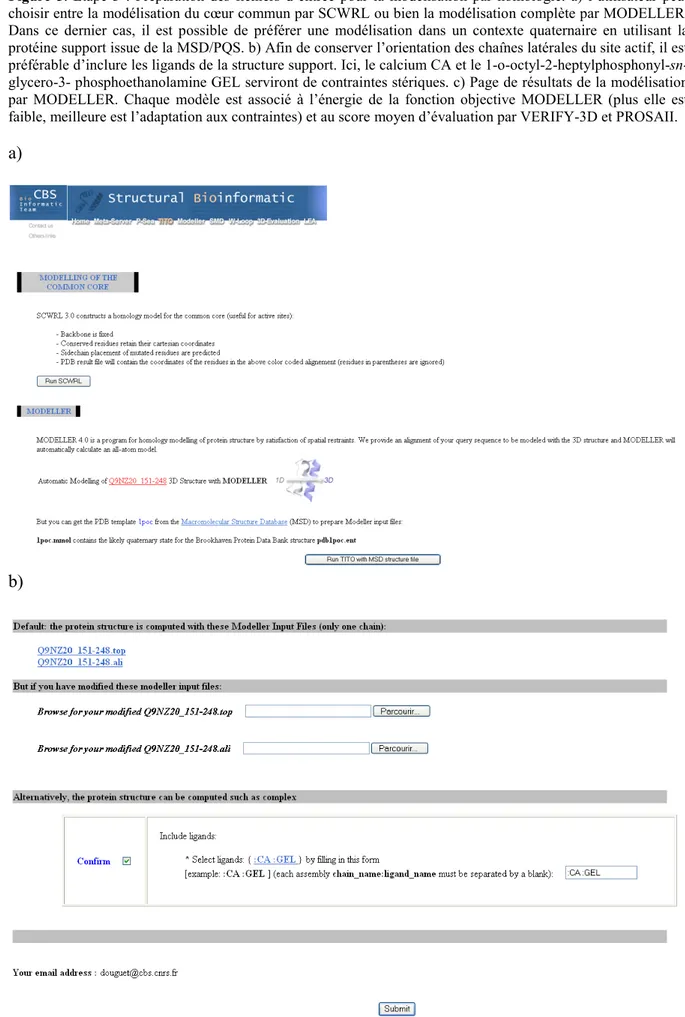 Figure 5. Etape 3°. Préparation des fichiers d’entrée pour la modélisation par homologie