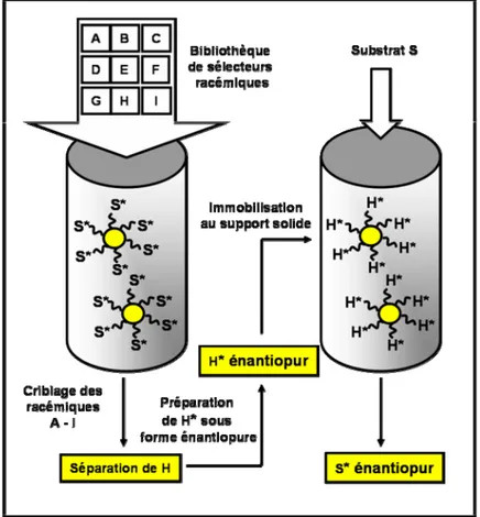 Figure 5 : Concept de criblage réciproque pour l’identification d’un sélecteur spécifique pour la préparation  d’une phase stationnaire chirale (d’après [64])