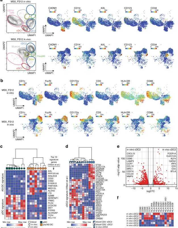Fig. 7 cDC2 generated in vivo faithfully align to blood cDC2. a UMAP plots of CyTOF data comparing CD45 + HLA-DR + cells generated using MS5_FS12 stromal cells either in vitro or in vivo