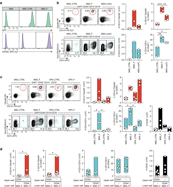 Fig. 1 Transmembrane FLT3L drives human DC differentiation in vitro. a Expression of membrane-bound FLT3L in mouse bone marrow-derived stromal cells engineered to express human FLT3L (MS5_F) and control (MS5_CTRL)