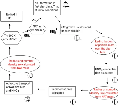 Fig. 1. Schematic diagram for the calculation of growth and sedimentation of NAT particles us- us-ing the “FixedRad” and “FixedDens” algorithms