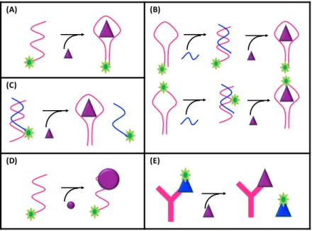 Figure  2-12  :  exemples  de  plateformes  de  détection  par  anisotropie  de  fluorescence