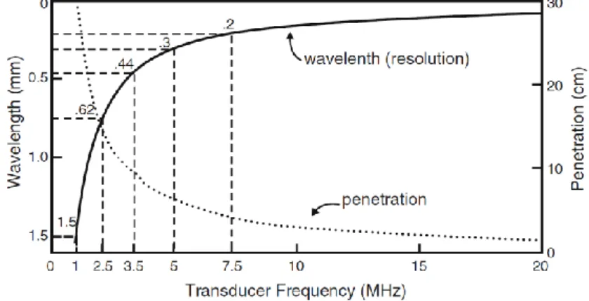 Figure 3: Evolution de la profondeur de pénétration et de la résolution spatiale en fonction de la fréquence  des ultrasons (Chan and Perlas, 2011) 