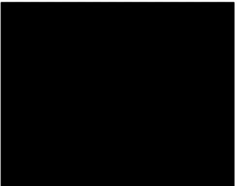 Figure 2: Dynamiques des taux d'extinctions dans différents groupes de vertébrés depuis le 16ème siècle (Ceballos et al, 2015) 