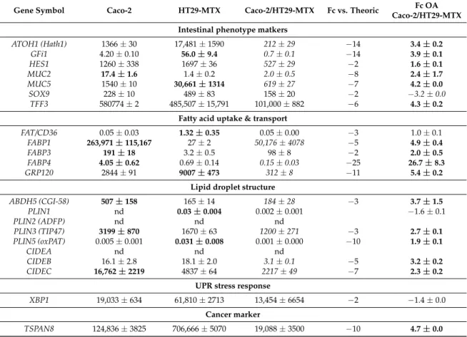 Table 2. Gene transcription analysis of Caco-2, HT29-MTX cells, and co-cultures by qRT-PCR